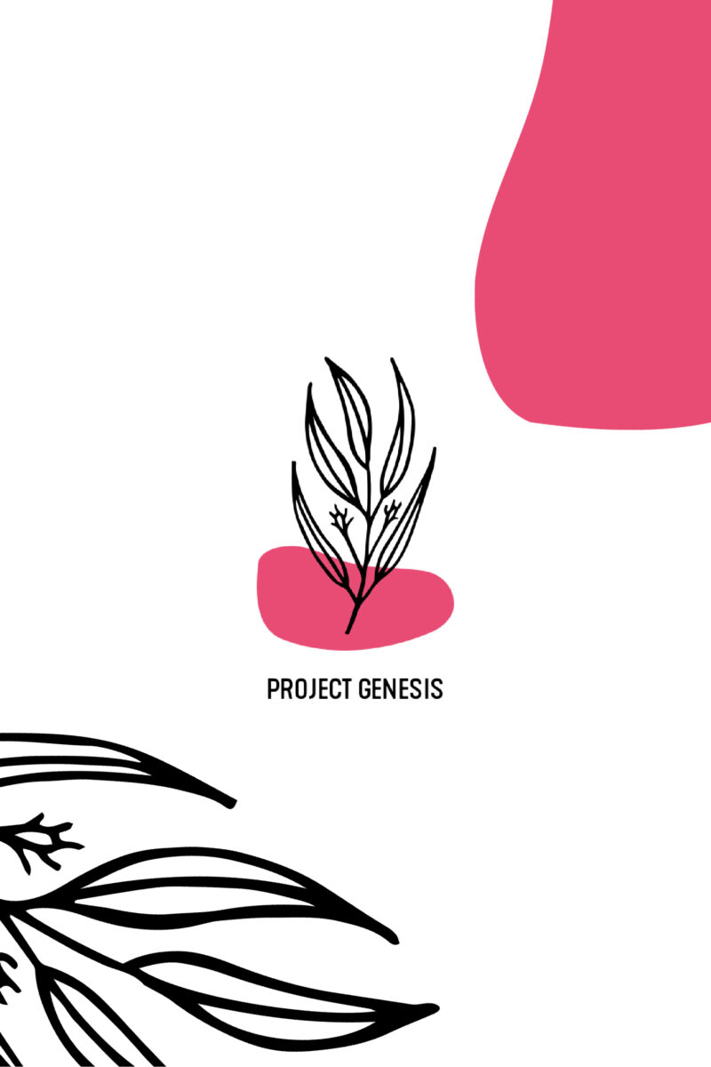 Project genesis 01